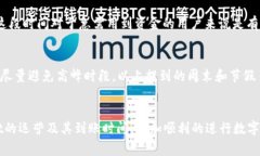 关于“tpwallet运营了多久到账”的问题，首先需要