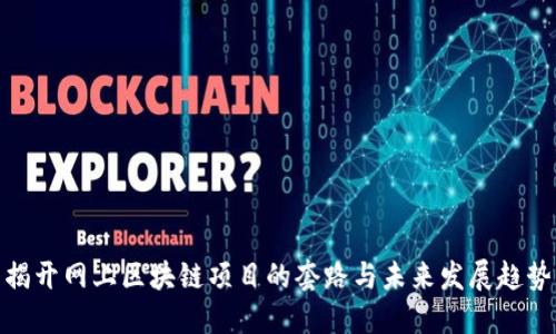 揭开网上区块链项目的套路与未来发展趋势