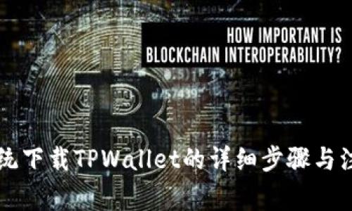 苹果系统下载TPWallet的详细步骤与注意事项