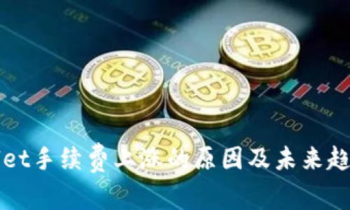 TPWallet手续费上涨的原因及未来趋势分析