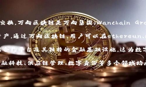 万向区块链（Wanchain）是一个以区块链技术为基础的数字资产平台，旨在实现不同区块链之间的资产互通和价值交换。万向区块链是万向集团（Wanchain Group）的一部分，该集团成立于2010年，专注于区块链技术的研发与应用，致力于推动区块链技术的商业化落地。

万向区块链的目标是解决当前区块链生态中存在的互操作性问题，允许用户在不同的区块链网络之间安全地转移资产。通过万向区块链，用户可以在ethereun、比特币等主流区块链网络之间自由转账，从而实现去中心化金融（DeFi）的应用场景。

万向区块链还致力于提供跨链交易、智能合约和分布式应用（DApp）开发平台。该平台的核心技术包括跨链协议、智能合约平台及其独特的金融基础设施，这为数字资产交易提供了更加灵活和高效的解决方案。

近年来，随着区块链技术的不断发展与普及，万向区块链也在不断吸引更多的开发者和用户参与其生态系统。它在金融科技、供应链管理、数字身份等多个领域均展现出强大的应用潜力。通过建立安全、透明和去中心化的交易环境，万向区块链希望能够促进全球的数字经济发展。

如果你对万向区块链还有其他的疑问或者想了解更深入的内容，请随时问我！