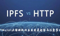 TPWallet大额提现的未来发展趋势与注意事项