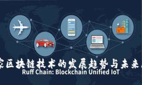 国家区块链技术的发展趋势与未来展望
