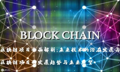 腾讯区块链项目全面解析：未来技术的潜在发展与趋势

腾讯区块链项目的发展趋势与未来展望