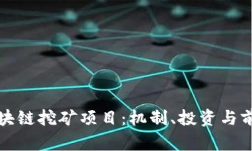 探讨区块链挖矿项目：机制、投资与前景分析