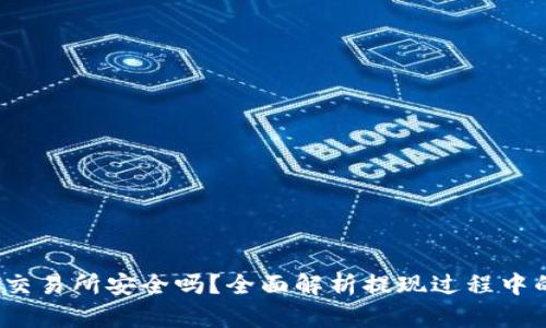 tp wallet提现到交易所安全吗？全面解析提现过程中的风险与安全措施