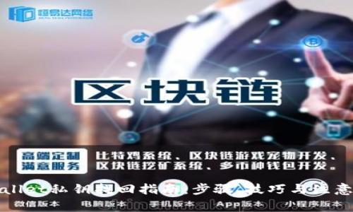 TPWallet私钥找回指南：步骤、技巧与注意事项