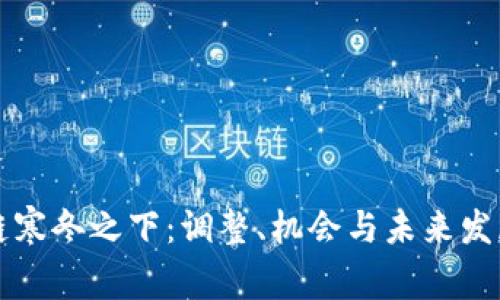 区块链寒冬之下：调整、机会与未来发展前景