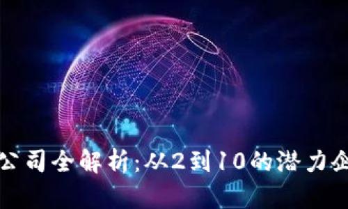 区块链公司全解析：从2到10的潜力企业揭秘