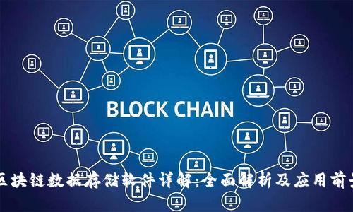 区块链数据存储软件详解：全面解析及应用前景