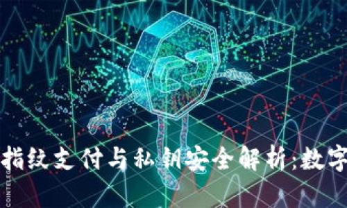 : TPWallet指纹支付与私钥安全解析：数字货币新趋势