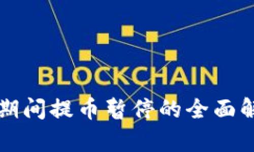 TPWallet维护期间提币暂停的全面解析与应对策略