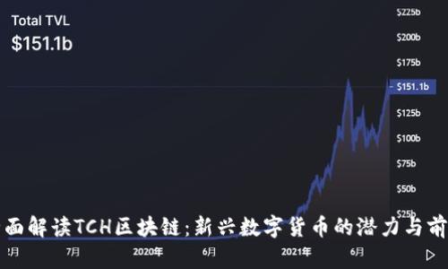 全面解读TCH区块链：新兴数字货币的潜力与前景