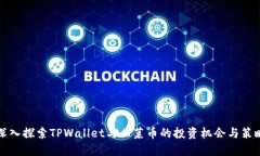 深入探索TPWallet与韭菜币的投资机会与策略