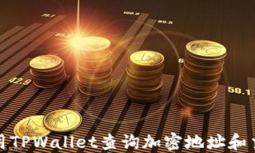 
如何使用TPWallet查询加密地址和交易信息