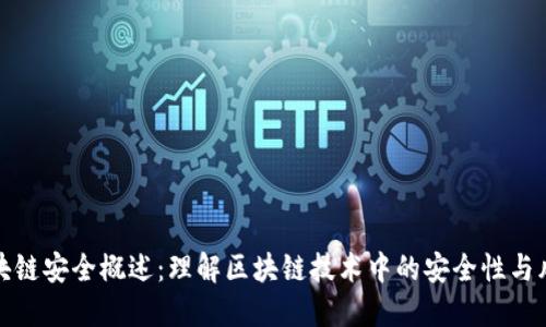 区块链安全概述：理解区块链技术中的安全性与风险