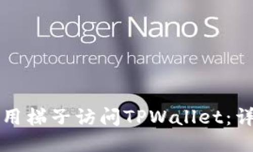 如何使用梯子访问TPWallet：详细指南