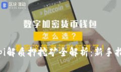 TPWallet Pippi解质押挖矿全解析：新手指南与常见问