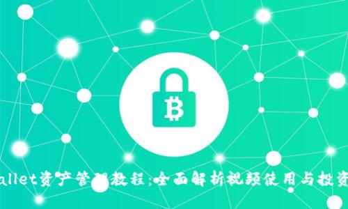 TPWallet资产管理教程：全面解析视频使用与投资潜力