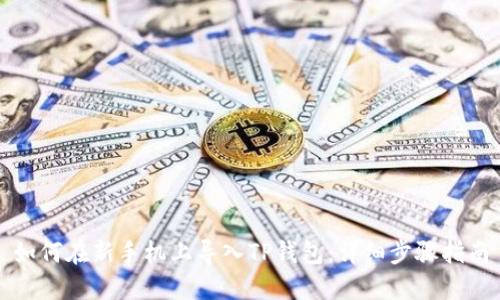 如何在新手机上导入TP钱包：详细步骤指南