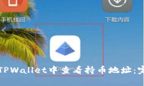 如何在TPWallet中查看持币地址：完整指南